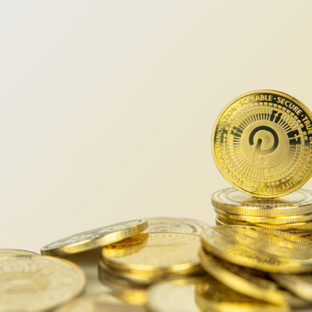 MoonBag Outshines Bitcoin Cash and Polkadot in 2024 Crypto Market